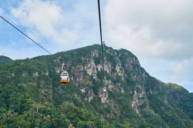 Mountain with trees and a cable car