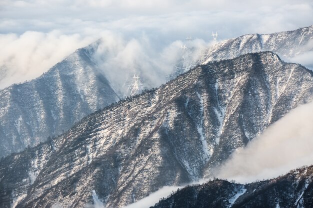 木々と山