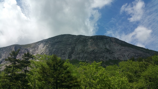 Mountain with trees