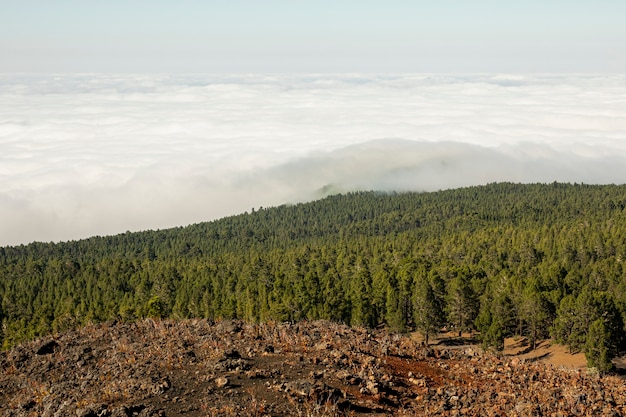 mountain woods with beautiful clouds