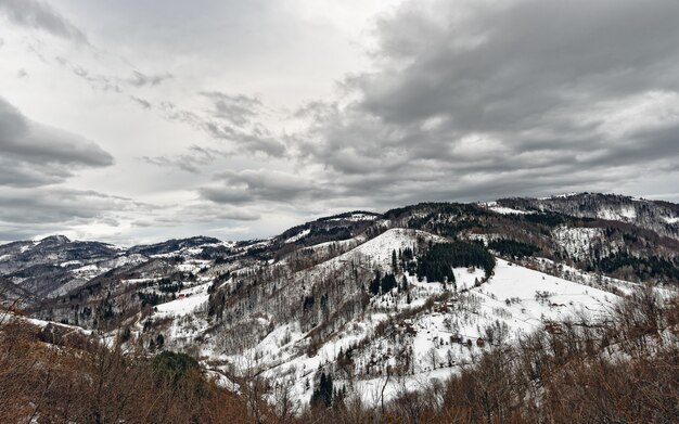 겨울에 산 Zlatibor, 세르비아.