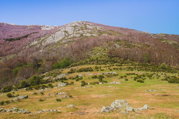 山岳地方の田舎