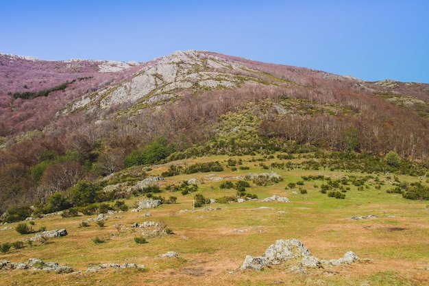 山岳地方の田舎