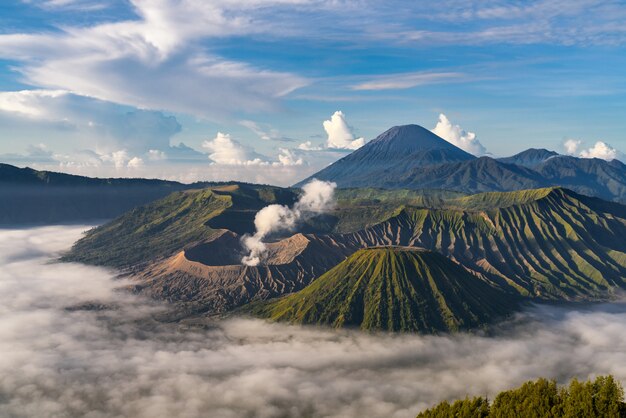 Mountainous landscape with fog