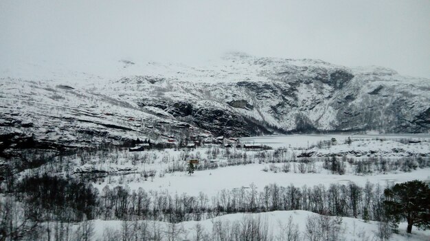無料写真 冬の間は雪に覆われた山や木々