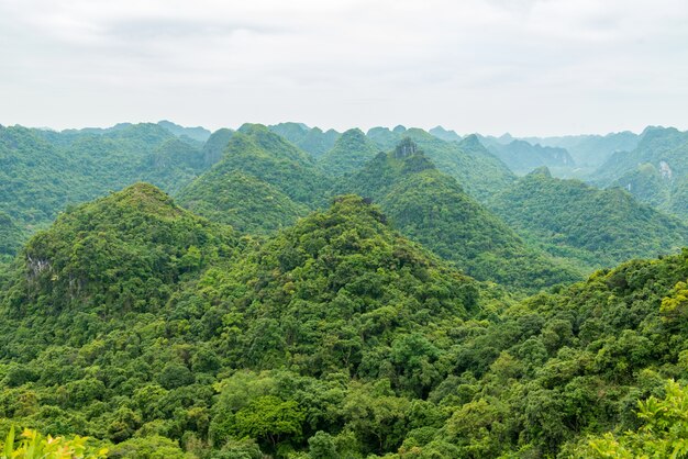 Mountains of Catba island