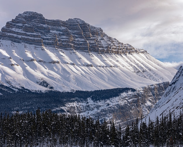 Free photo mountains and forest-good for a cool