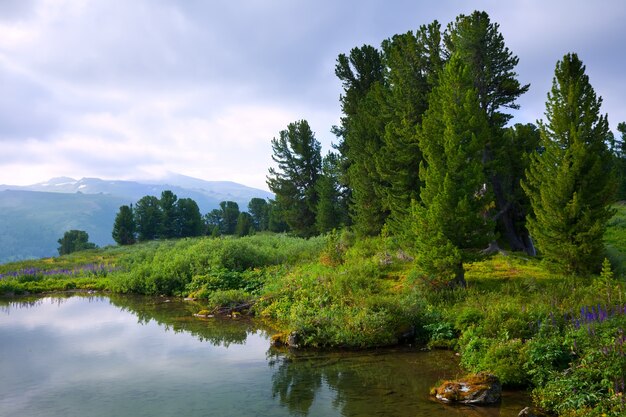 mountains lake