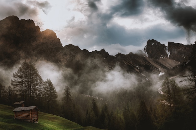 Foto gratuita paesaggio delle montagne con nebbia