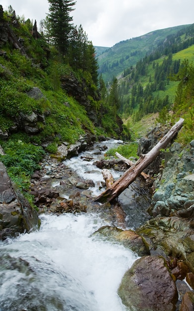 Free photo mountains landscape with stream