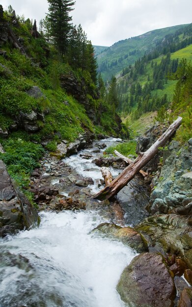 mountains landscape with stream