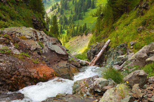 Mountains stream