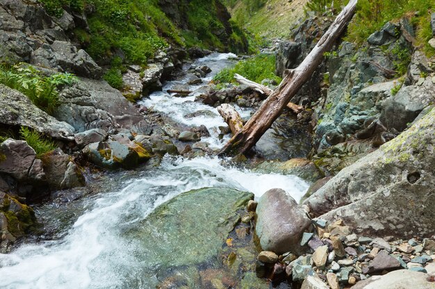 Mountains stream