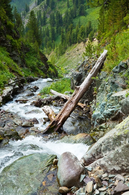 Foto gratuita flusso di montagne