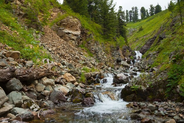 Mountains stream