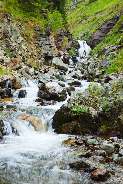 Mountains stream