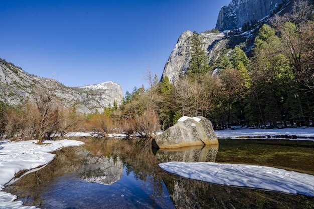 カリフォルニア州ヨセミテ国立公園の森に囲まれた山々