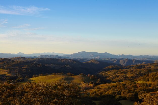 朝の光の中のメサグランデの山々と木々、サンディエゴ