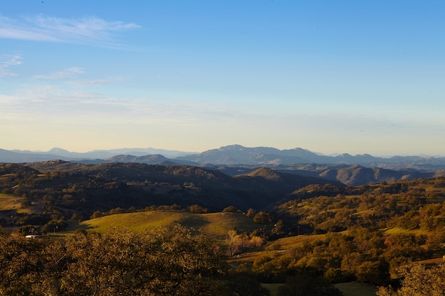 朝の光の中のメサグランデの山々と木々、サンディエゴ