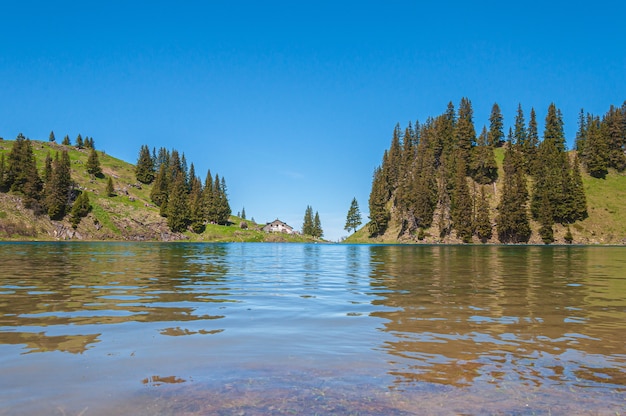 Горы и деревья в Швейцарии в окружении озера Lac Lioson