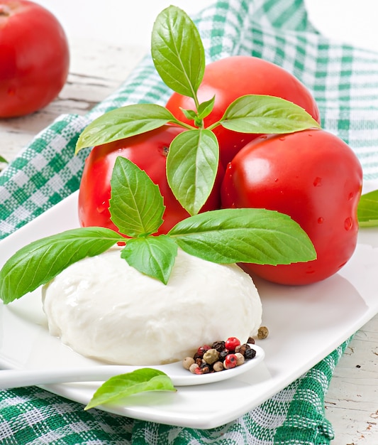 Foto gratuita mozzarella, pomodori e foglie di basilico fresco