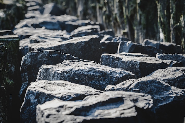 Muddy ground of a dried sea and a wooden fence with big stones