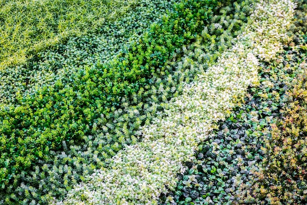 Бесплатное фото multicolor искусственная трава.