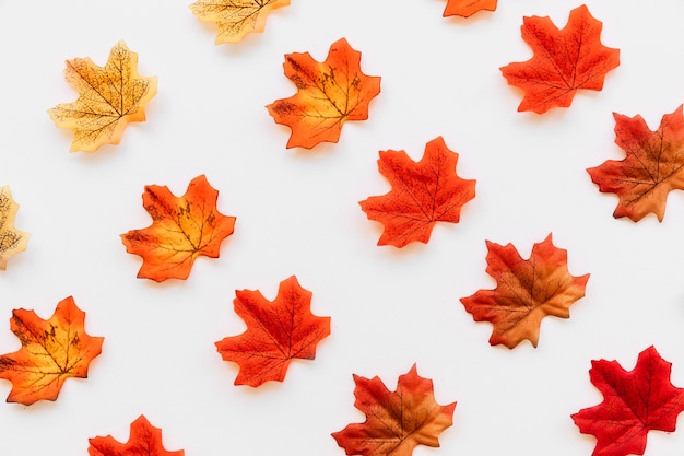 Free photo multicolor autumn leaves background