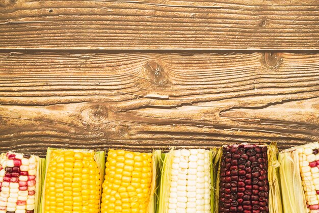 Multicolored corn on cob on wooden desk