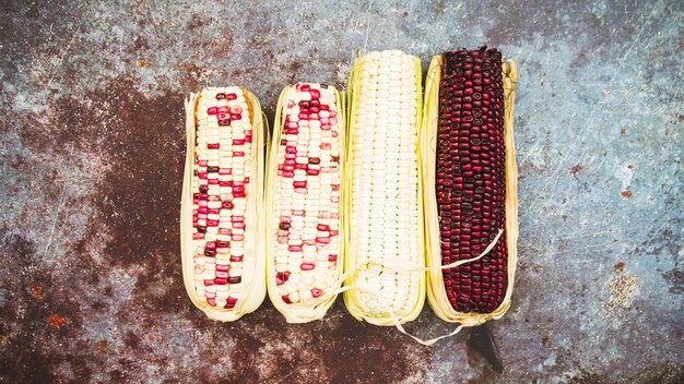 Multicolored corn on cob 