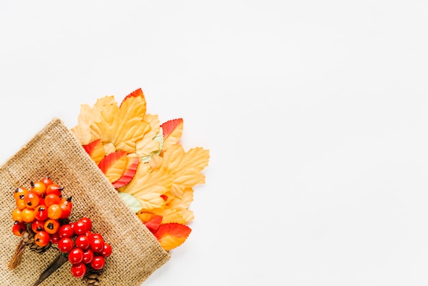 Multicolored leaves in canvas bag