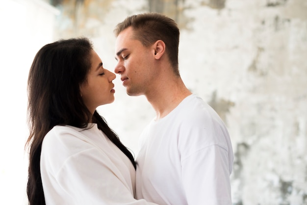 キス愛好家の多民族の若いカップル