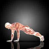 Free photo muscular man doing pushup