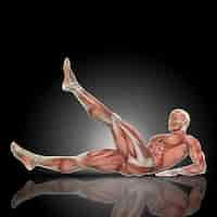 Free photo muscular man doing sit-ups