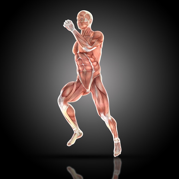 Muscular man running