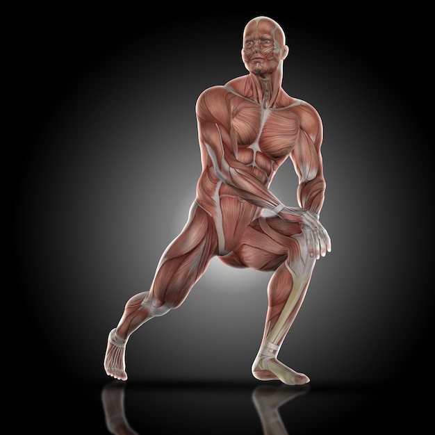 Muscular man stretching his leg