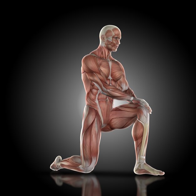 Muscular man with a knee on the ground