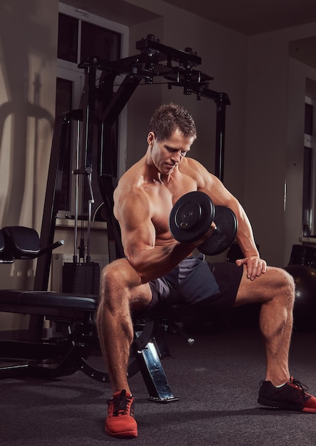 체육관에서 벤치에 앉아 있는 동안 아령으로 운동을 하는 근육질의 셔츠를 입지 않은 운동선수.