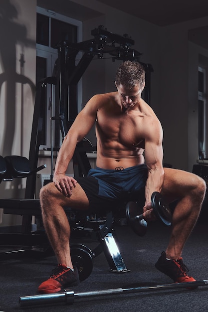 A muscular shirtless athlete doing exercise with dumbbells while sits on a bench in the gym.