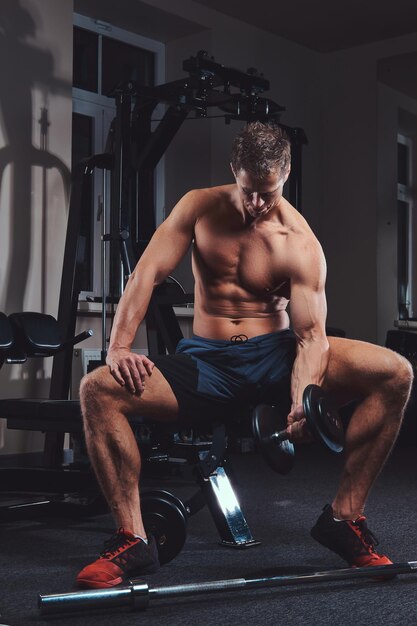 A muscular shirtless athlete doing exercise with dumbbells while sits on a bench in the gym.