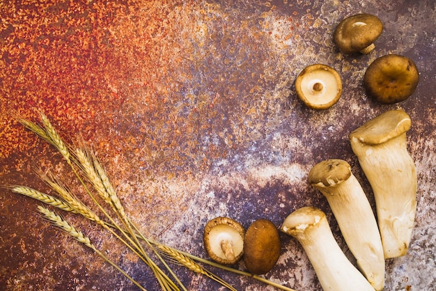 Foto gratuita cappucci e steli di funghi con spighe di grano