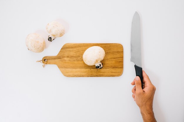 Mushrooms and hand with knife