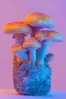 Foto gratuita i funghi visti con intense luci dai colori vivaci