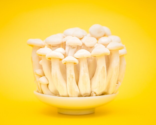Mushrooms on white plate over yellow