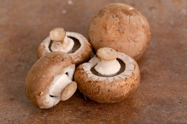 Funghi