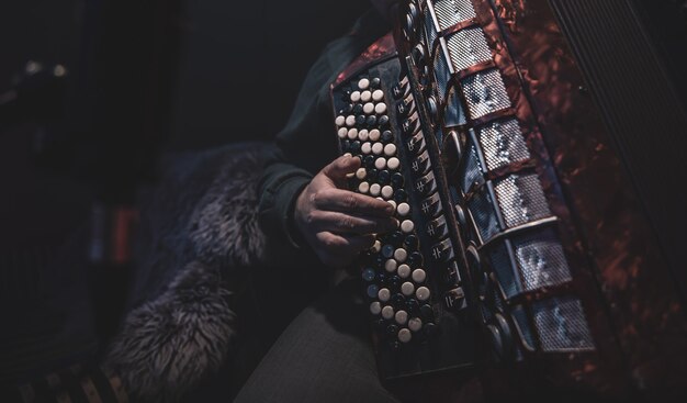 The musician plays the button accordion in the studio