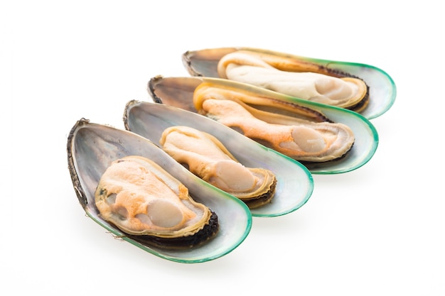 Free photo mussel isolated