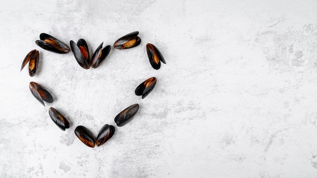 Mussels in heart shape copy space