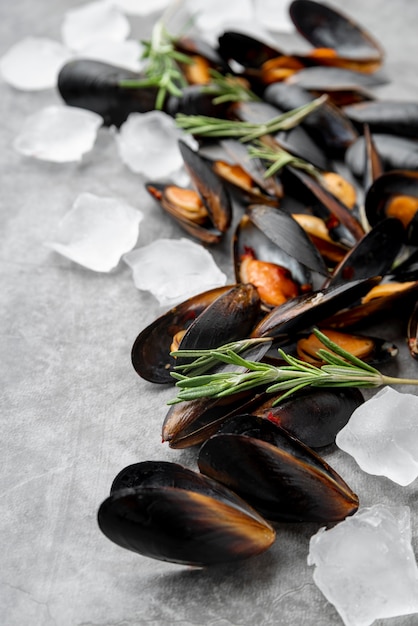 Mussels and ice cubes close up