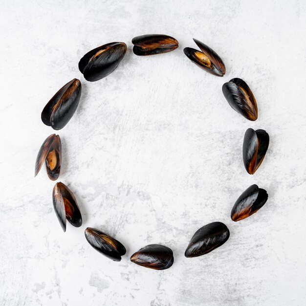 Mussels in round shape copy space